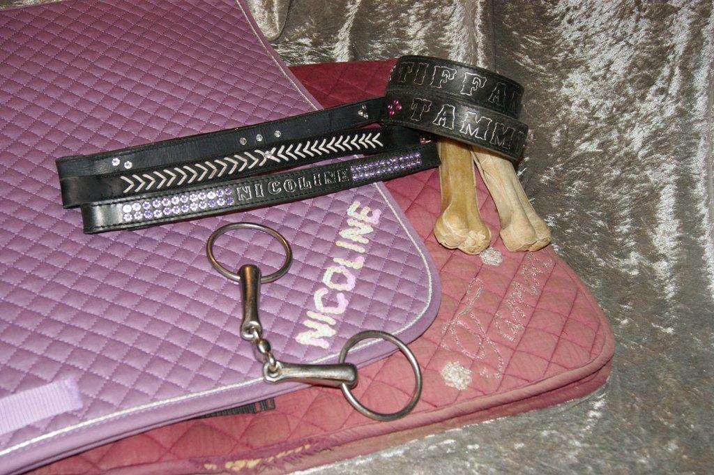 Lædersjov - Hesteting - Nogle af alle de ting jeg har lavet billede 1