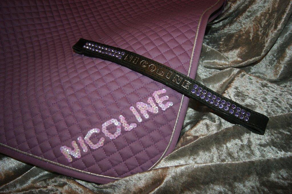 Lædersjov - Hesteting - Det nye underlag og pandebånd jeg har lavt til min smukke nye lækre hyppe (Har "Kun" skrevet navn på underlaget) billede 2