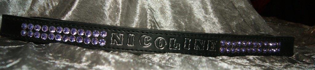 Lædersjov - Hesteting - nærbillede af pandebåndet jeg har lavet billede 4