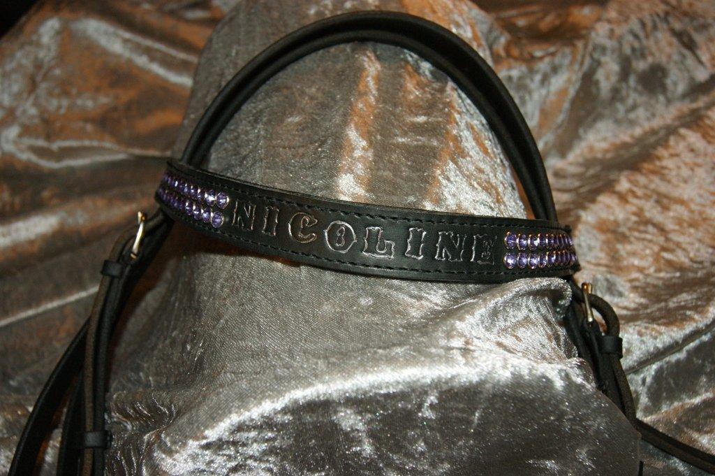 Lædersjov - Hesteting - glæder mig til at se det på hende billede 3