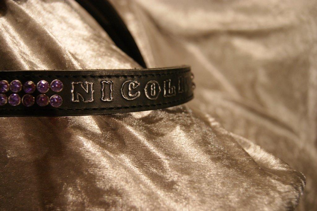 Lædersjov - Hesteting billede 5