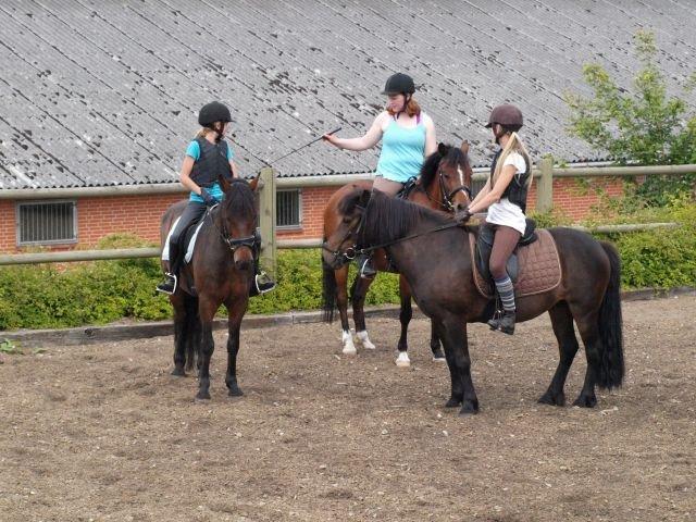 Ridelejr med Flicka på Stald Tougaard 2012:-) - <3 billede 16