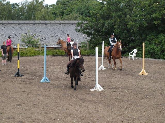 Ridelejr med Flicka på Stald Tougaard 2012:-) - Ponygames billede 17