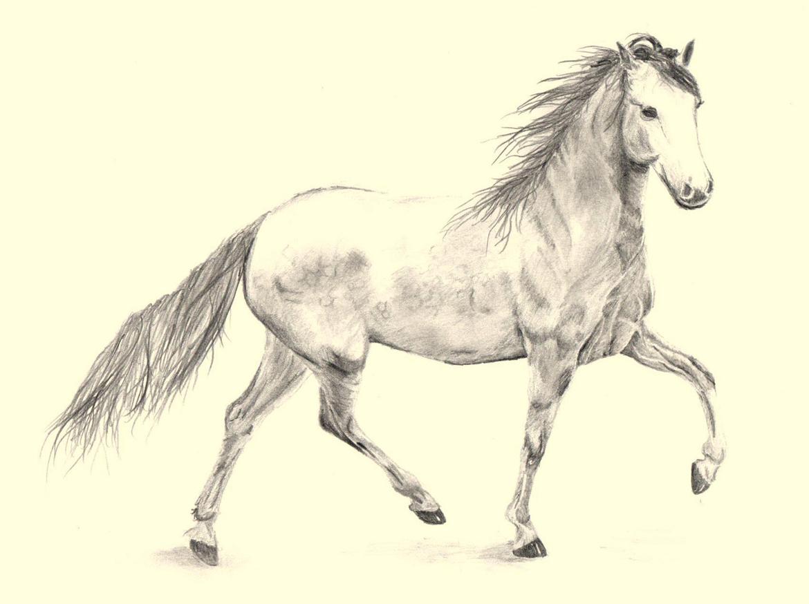 Mine tegninger:) - Den af mine tegninger jeg bedst selv kan lide (tegnet i 2012) billede 1