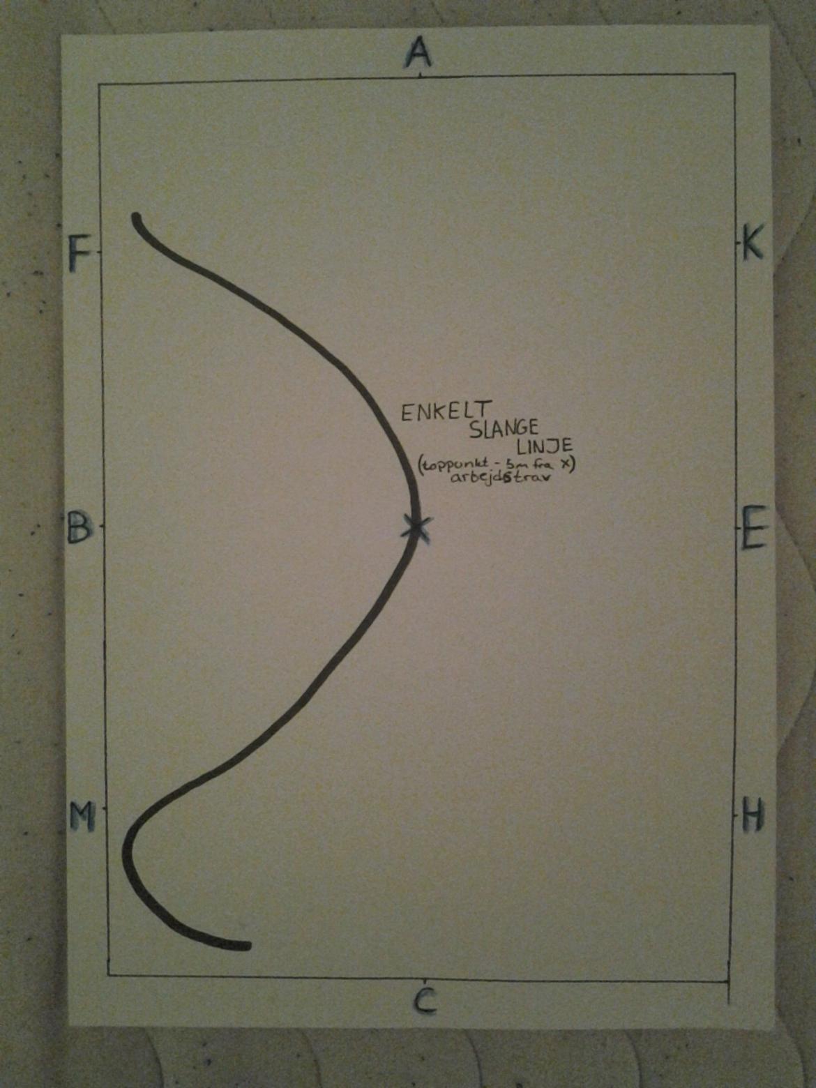 LA1 - B (tegning) - Enkelt slangelinje 
(toppunkt - 5m fra X, arbejdstrav)  billede 2