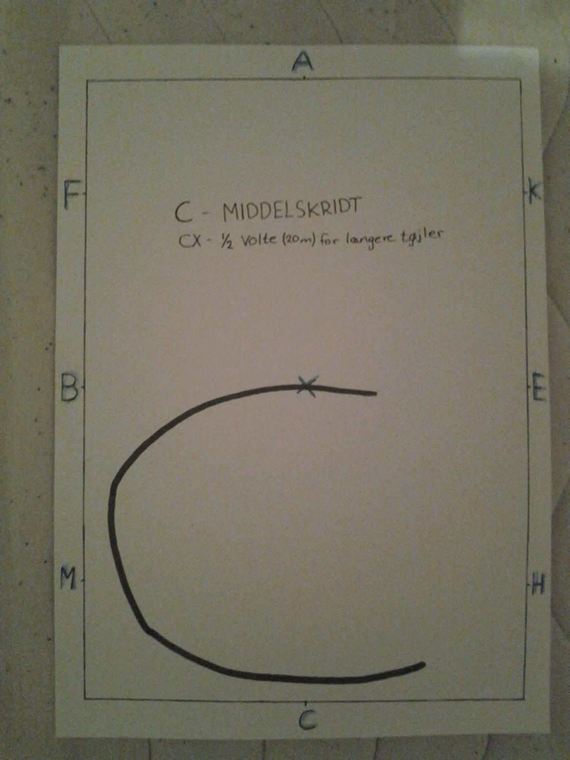 LA1 - B (tegning) - C - Middelskridt 
CX - ½ volte(20m) for længere tøjler billede 9