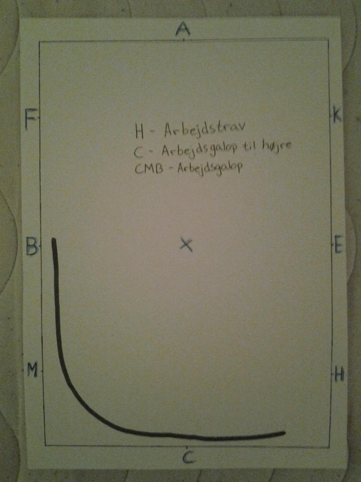 LA1 - B (tegning) - H - Arbejdstrav 
C - Arbejdsgalop til højre 
C-M-B = Arbejdsgalop billede 12