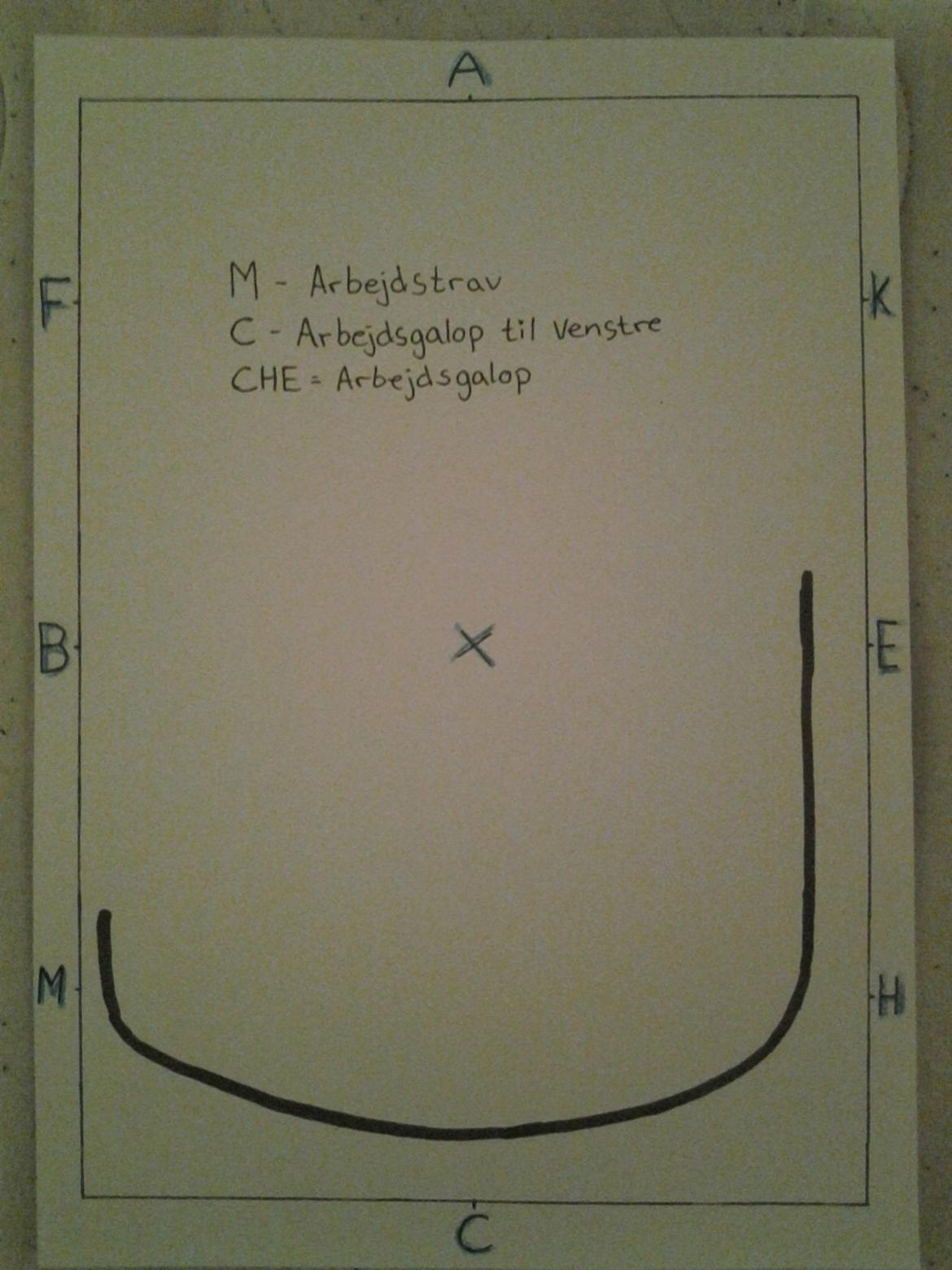 LA1 - B (tegning) - M - Arbejdstrav ¨
C - Arbejdsgalop til venstre
C-H-E = Arbejdsgalop  billede 14