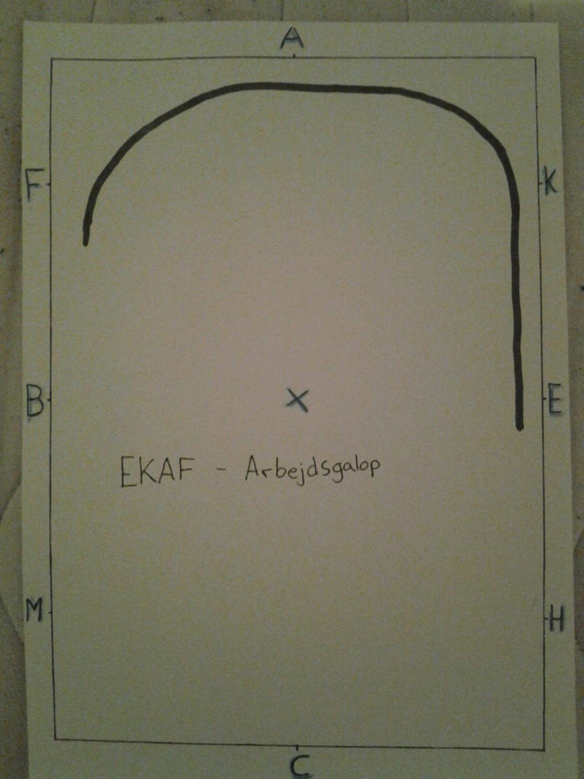 LA1 - B (tegning) - E-K-A-F = Arbejdsgalop  billede 16