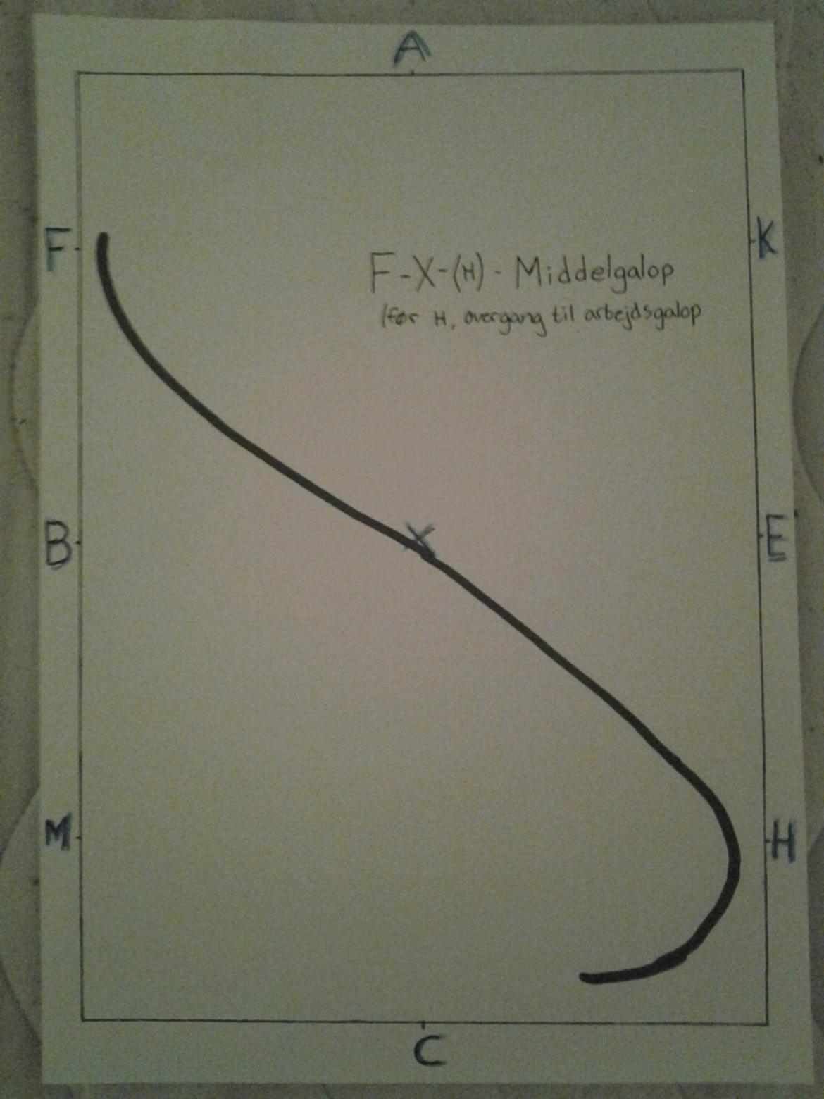 LA1 - B (tegning) - F-X-(H) = Middelgalop
(før H overgang til arbejdsgalop)  billede 17