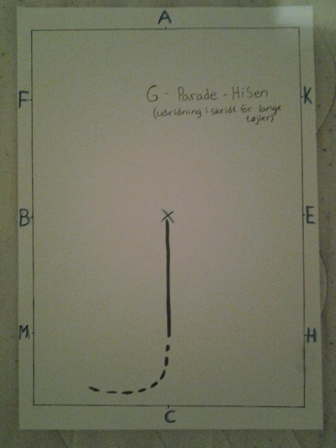 LA1 - B (tegning) - G = Parade/Hilsen 
(udridning i skridt for lange tøjler)  billede 19