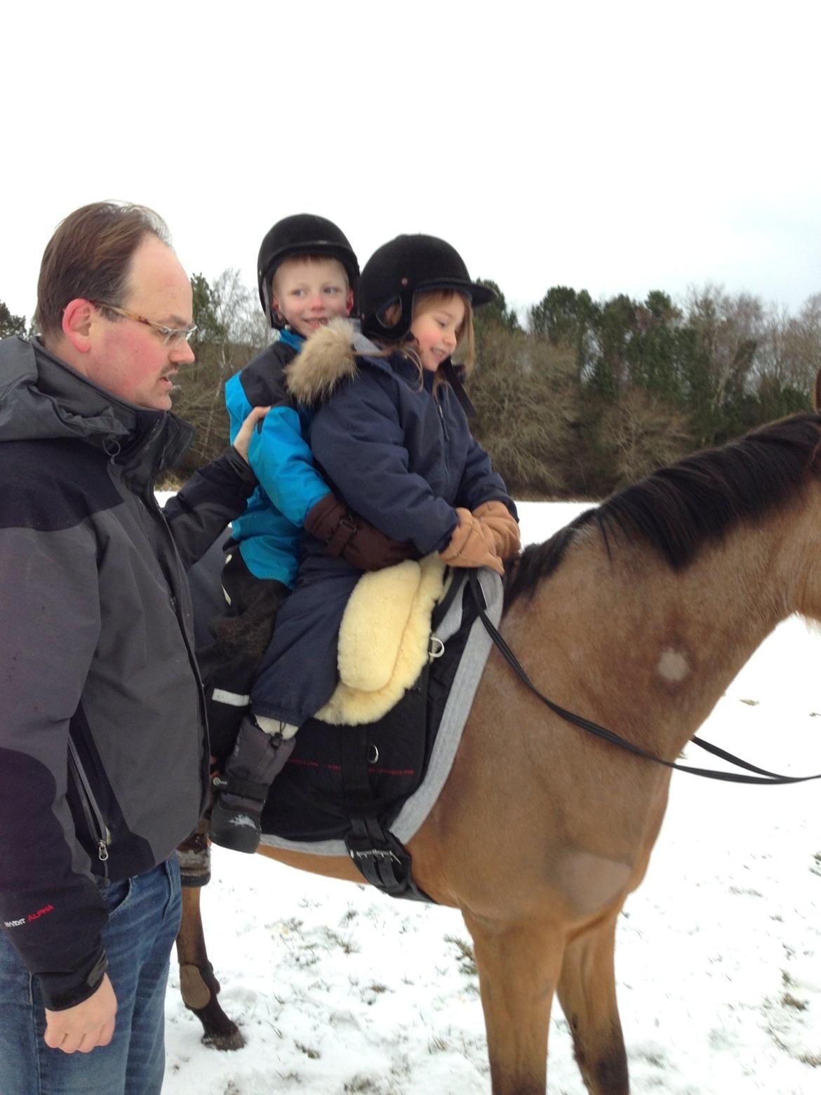 Anemone, nu som børnepony. billede 1