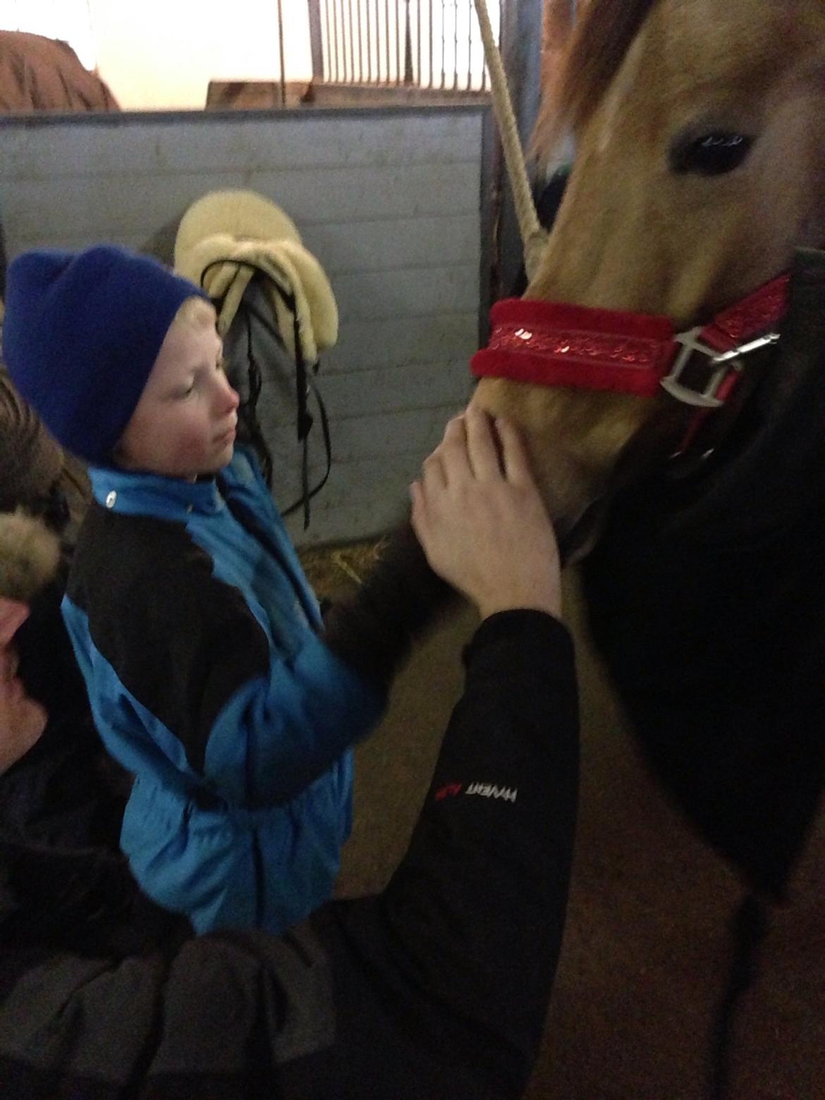 Anemone, nu som børnepony. billede 2