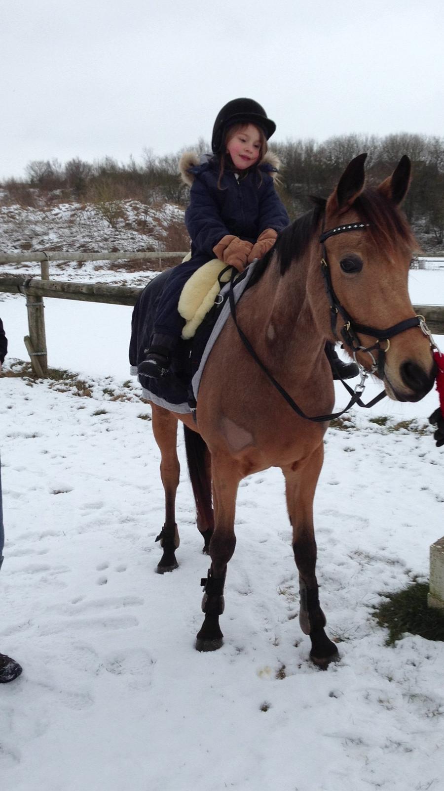 Anemone, nu som børnepony. billede 4