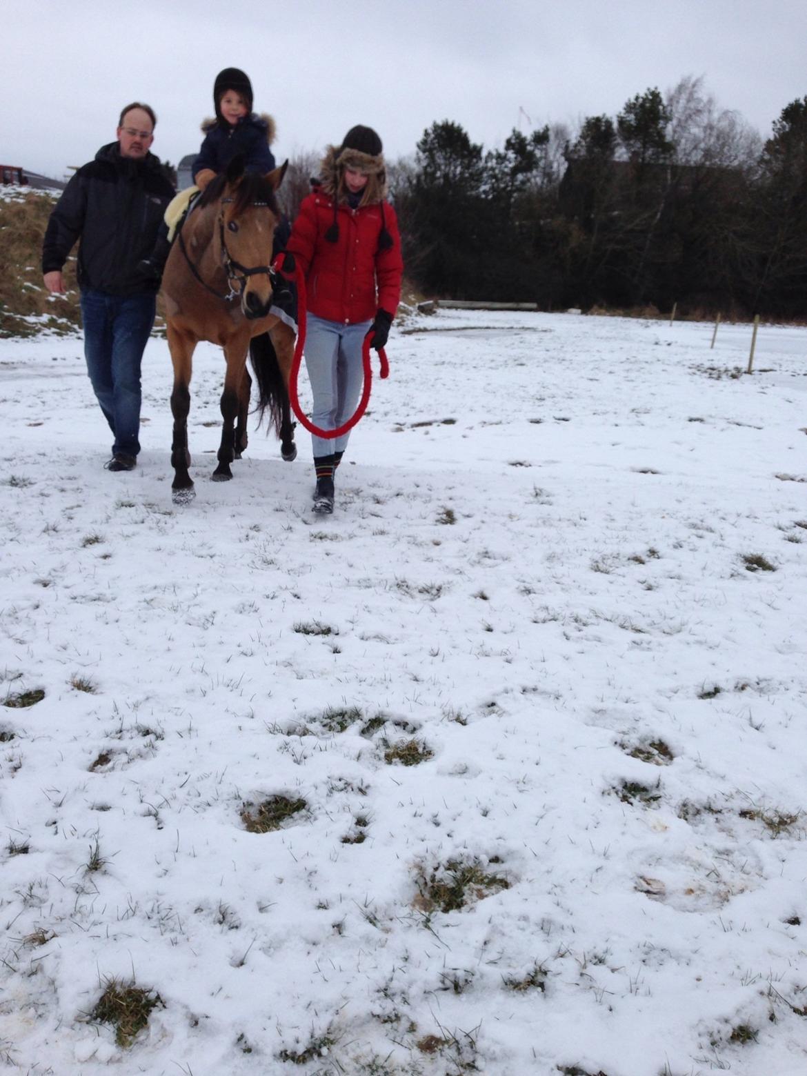 Anemone, nu som børnepony. billede 5