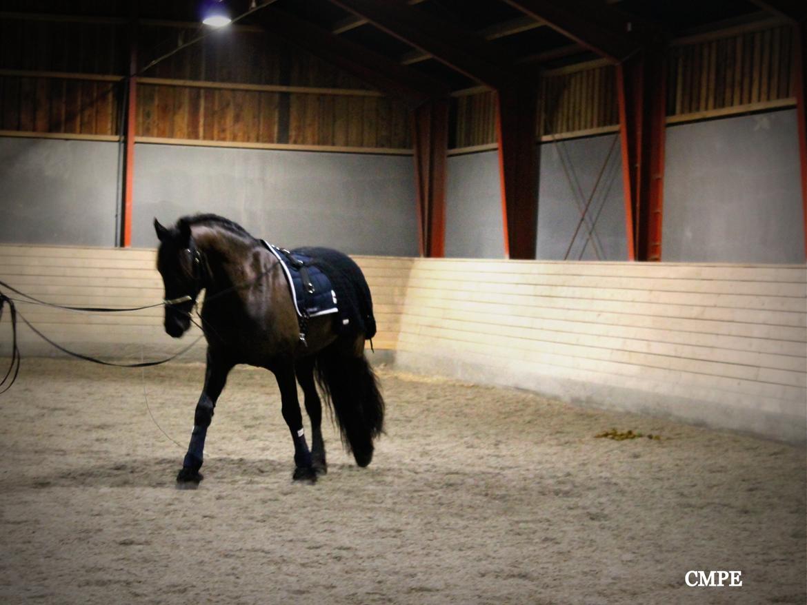 Oliver i lange linjer billede 3