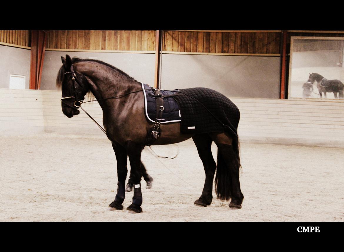 Oliver i lange linjer billede 6