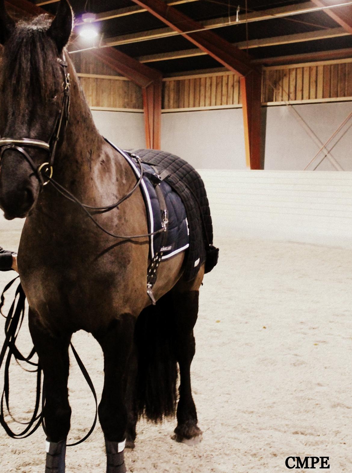 Oliver i lange linjer billede 4