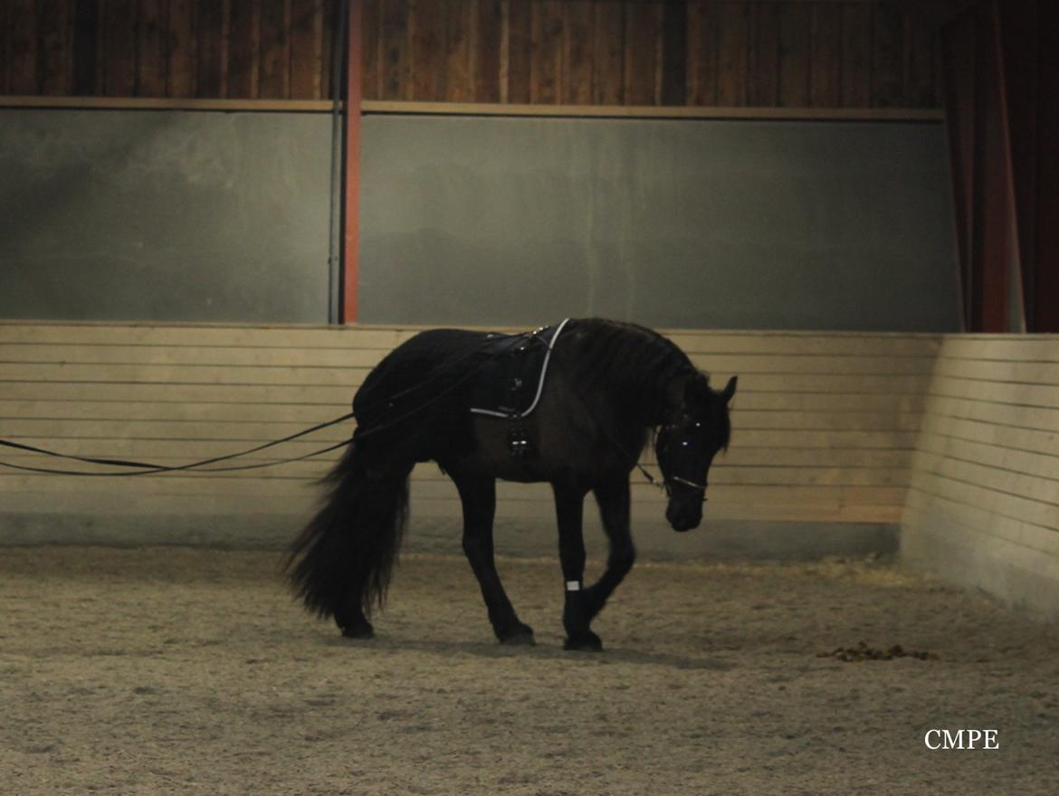 Oliver i lange linjer billede 7