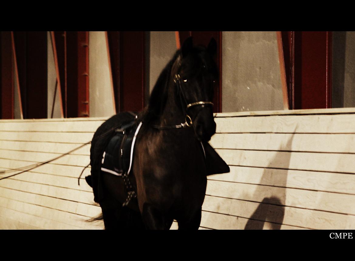 Oliver i lange linjer billede 9