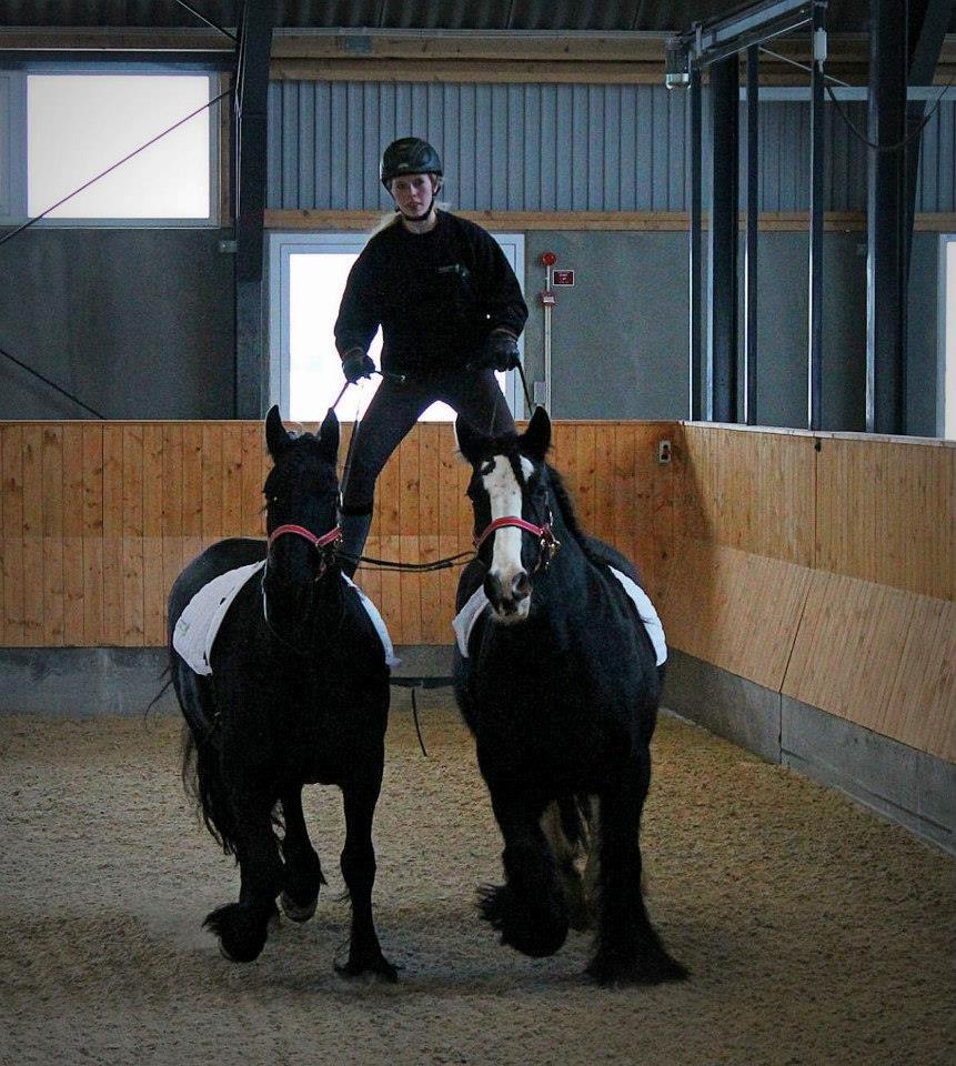 Ungarsk Post samt Kvadrilleridning billede 2