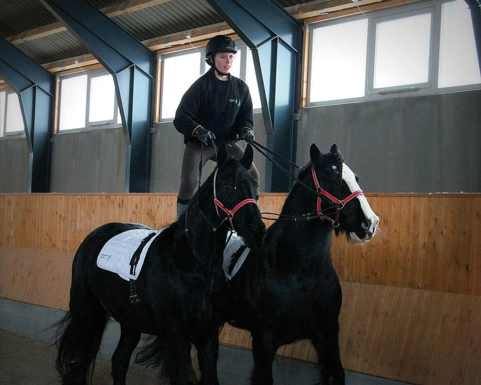 Ungarsk Post samt Kvadrilleridning billede 3