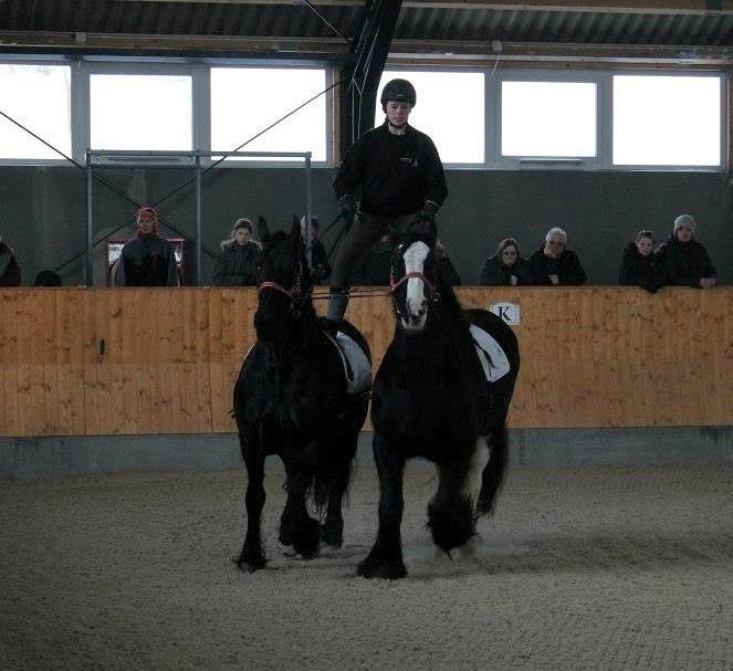 Ungarsk Post samt Kvadrilleridning billede 4