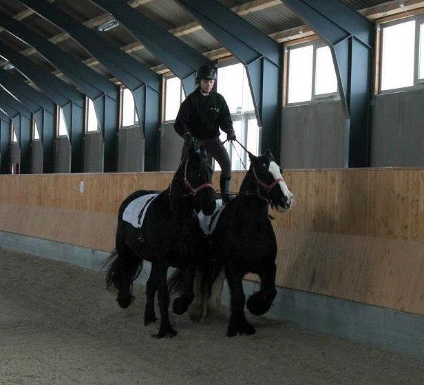 Ungarsk Post samt Kvadrilleridning billede 5