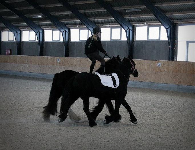 Ungarsk Post samt Kvadrilleridning billede 6