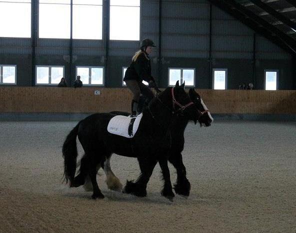 Ungarsk Post samt Kvadrilleridning billede 7