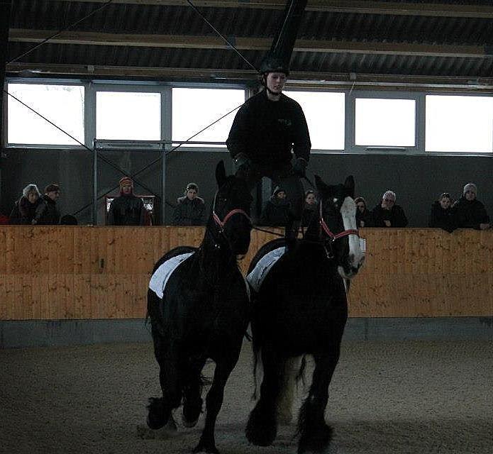 Ungarsk Post samt Kvadrilleridning billede 8