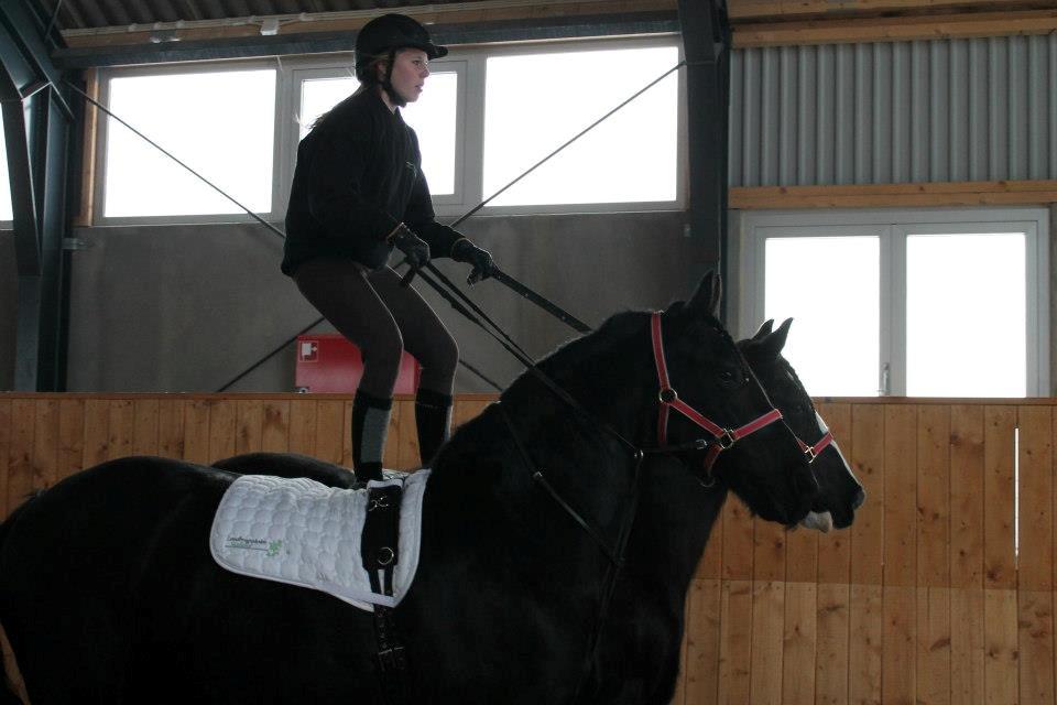 Ungarsk Post samt Kvadrilleridning billede 9