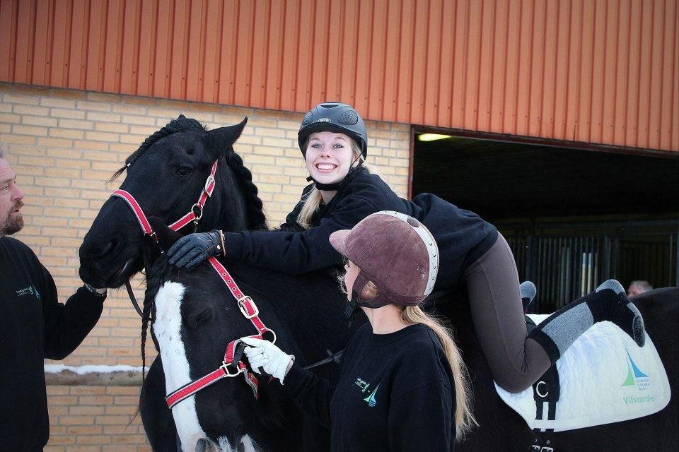 Ungarsk Post samt Kvadrilleridning billede 10