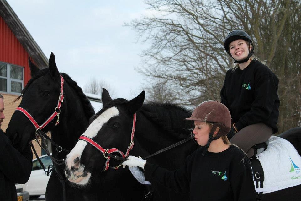 Ungarsk Post samt Kvadrilleridning billede 11