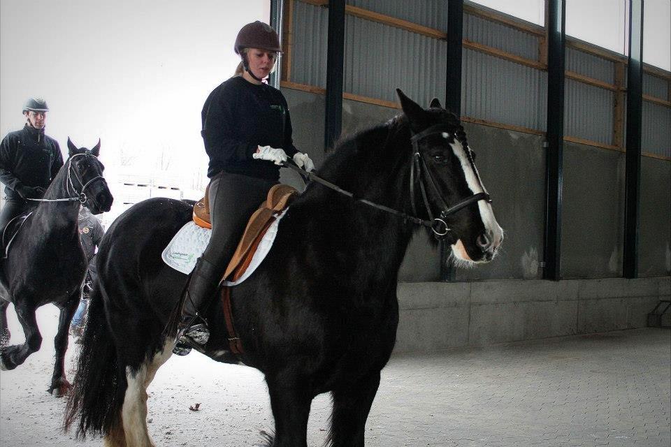 Ungarsk Post samt Kvadrilleridning billede 13