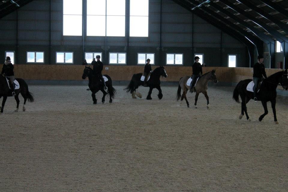 Ungarsk Post samt Kvadrilleridning billede 14