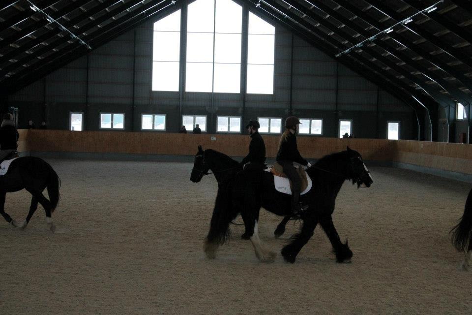 Ungarsk Post samt Kvadrilleridning billede 15