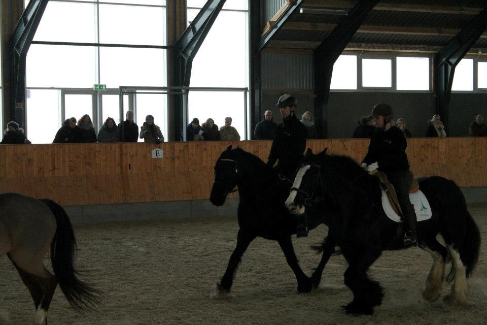 Ungarsk Post samt Kvadrilleridning billede 16