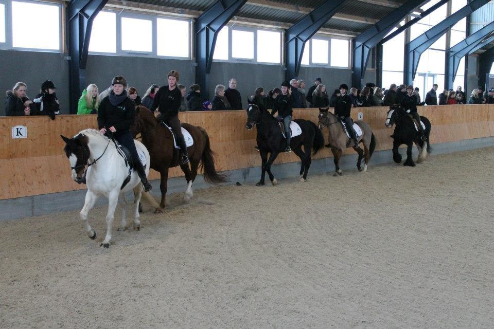 Ungarsk Post samt Kvadrilleridning billede 18