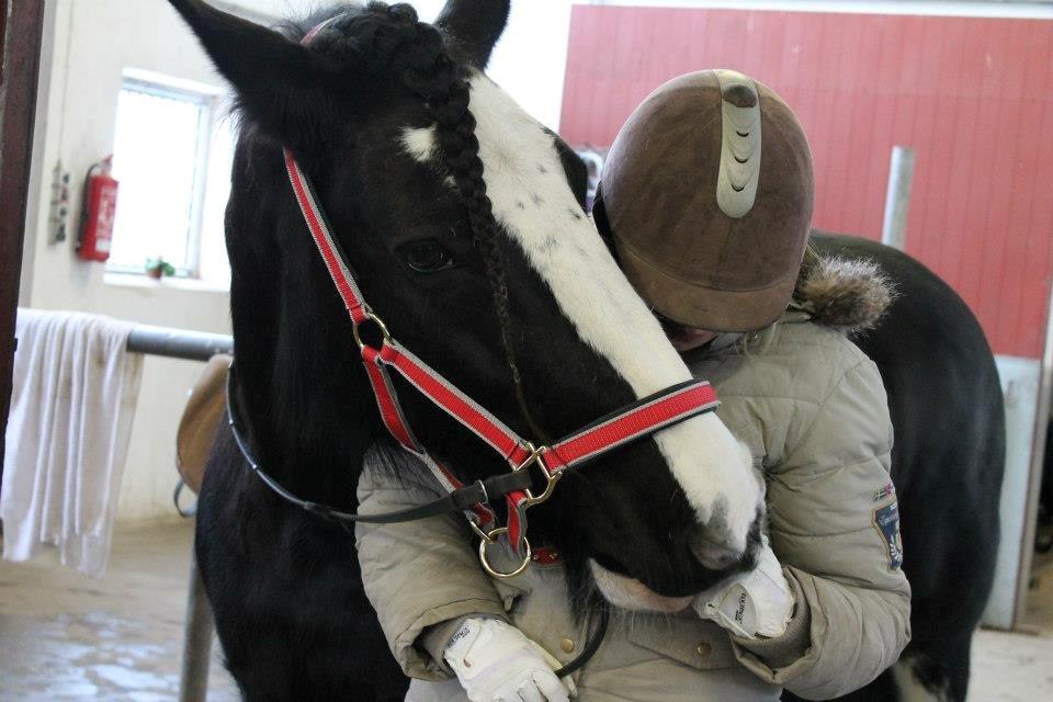 Ungarsk Post samt Kvadrilleridning billede 20