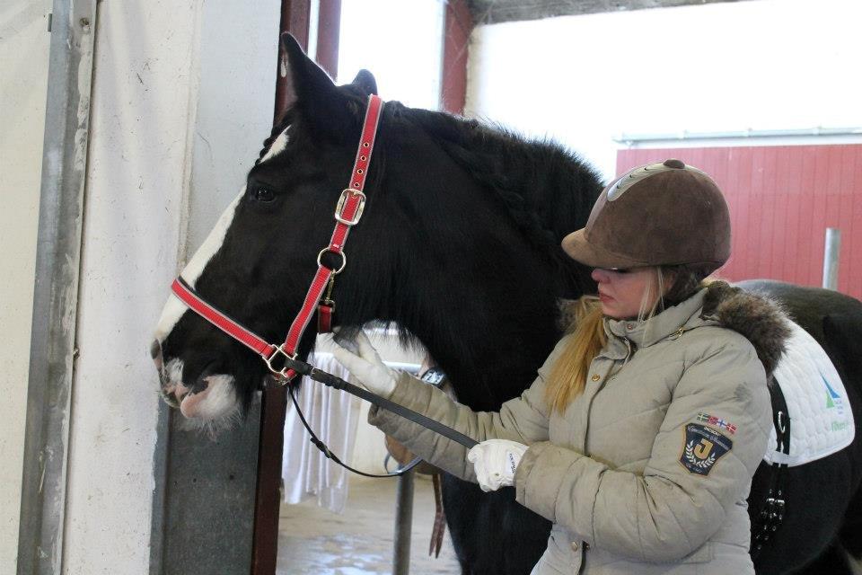 Ungarsk Post samt Kvadrilleridning billede 21