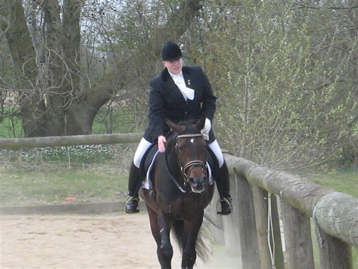Klubstævne i Malling Rideklub billede 4