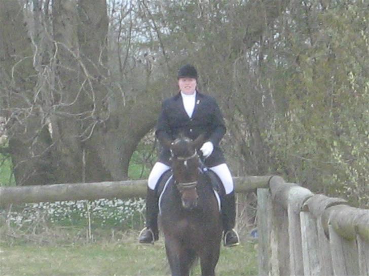 Klubstævne i Malling Rideklub billede 5