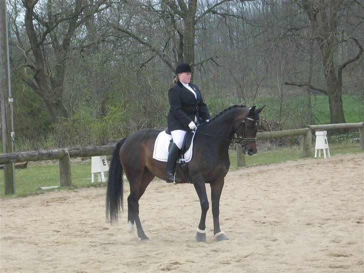 Klubstævne i Malling Rideklub billede 6