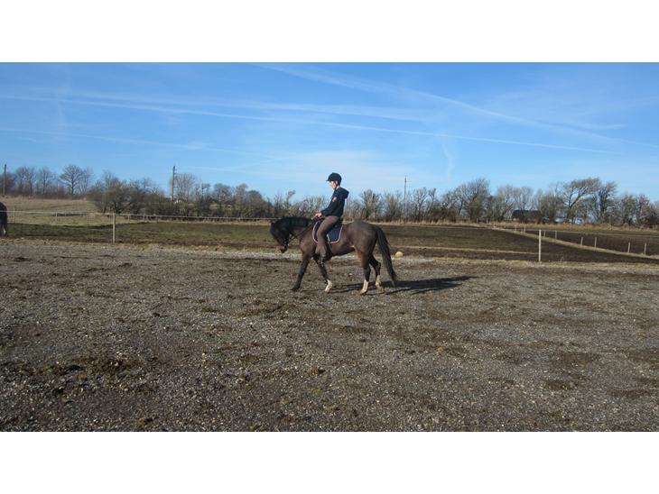 {{currentPhoto.altText}} billede {{currentPhoto.number}}