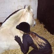 Min Smukke Pony!<3 