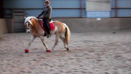 Undervisning af Lena grønnemose. billede 7