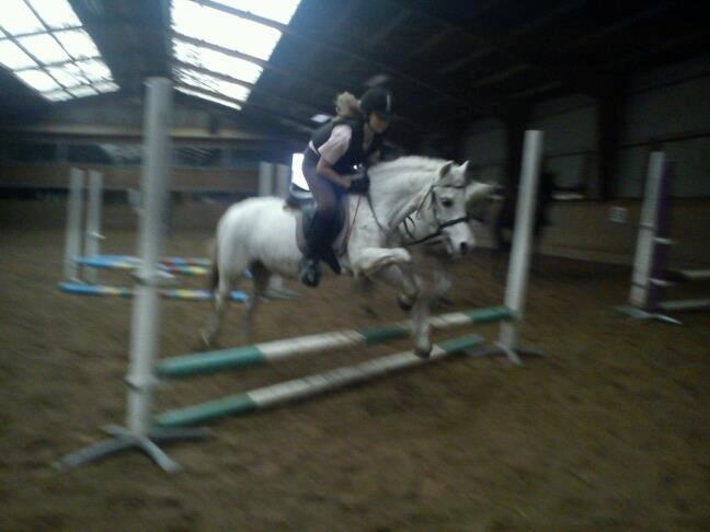 ridning på egedal rideskole - malle springer billede 1