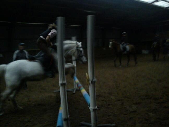 ridning på egedal rideskole - malle springer billede 2