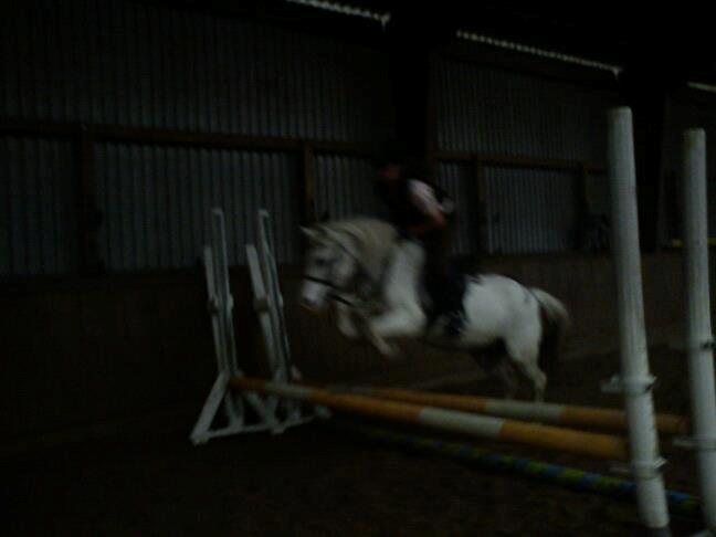 ridning på egedal rideskole - malle springer billede 3